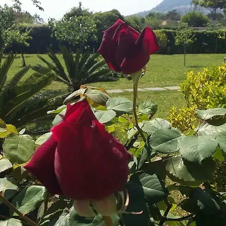 Dimora Campi Elisi * San Felice Circeo